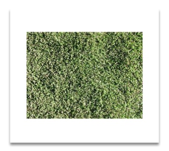 turf